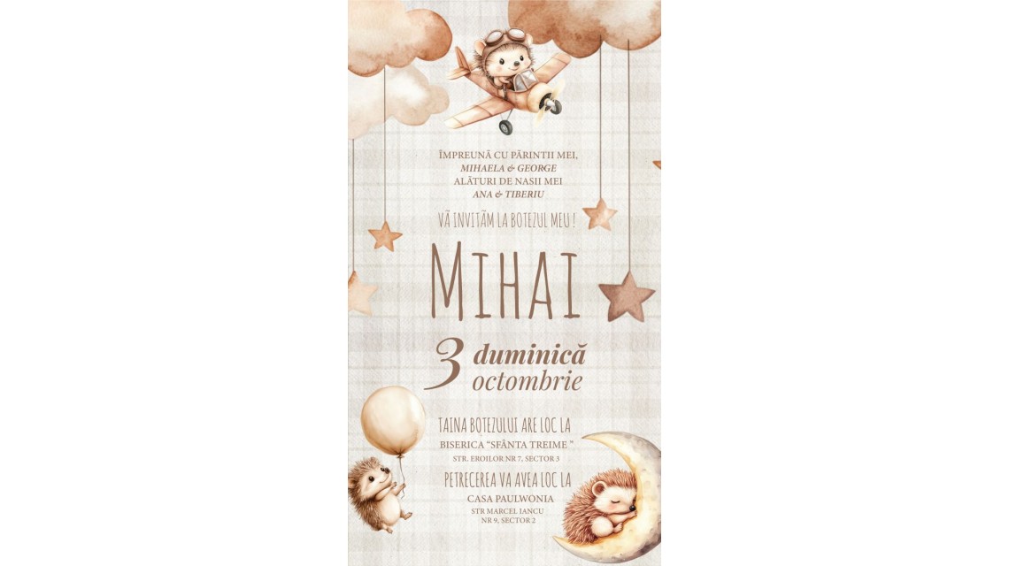 Invitație digitală botez băiat cu arici, stele si baloane Hedgehog Adventure Invitație electronică retro 1